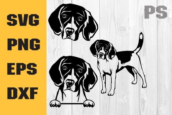 Beagle SVG for Cricut: A Designer’s Real-World Embroidery Review