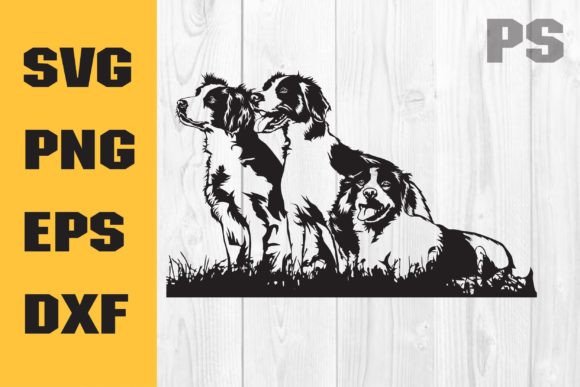 Brittany Spaniel SVG: A Designer’s Real-World Embroidery Review