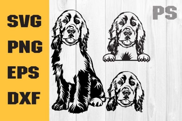 English Cocker Spaniel SVG, Dog SVG
