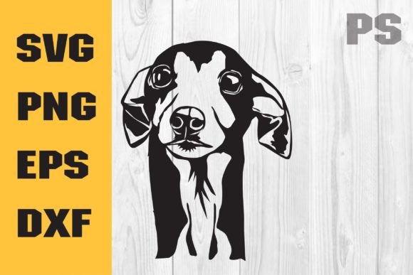 Italian Greyhound, Dog SVG, Cute Dog