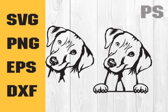 Labrador SVG: Dog SVG for Cricut & Embroidery