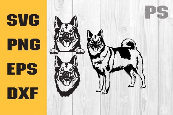 Norwegian Elkhound Dog SVG Vector