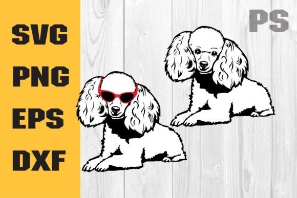 Poodle Peeking SVG: A Designer’s Real-World Embroidery Review