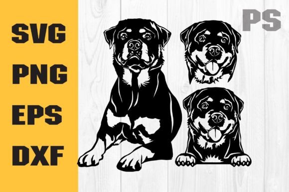 Rottweiler Svg for Embroidery