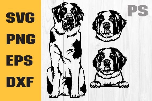 Saint Bernard Dog Svg