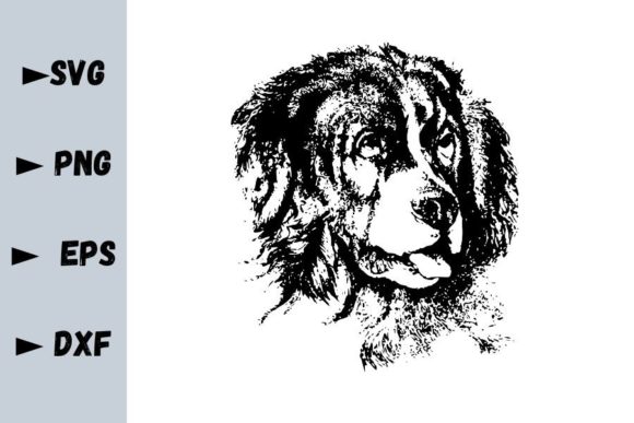 Saint Bernard Dog SVG Files