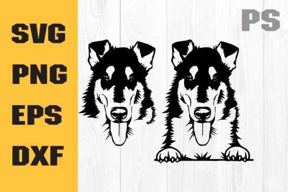 Smooth Collie SVG: A Designer’s Real-World Embroidery Review